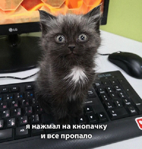 Заглушка